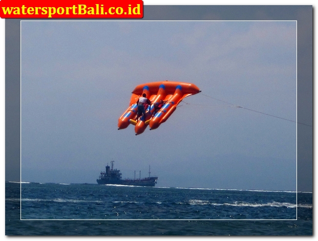 Flying fish Tanjung Benoa